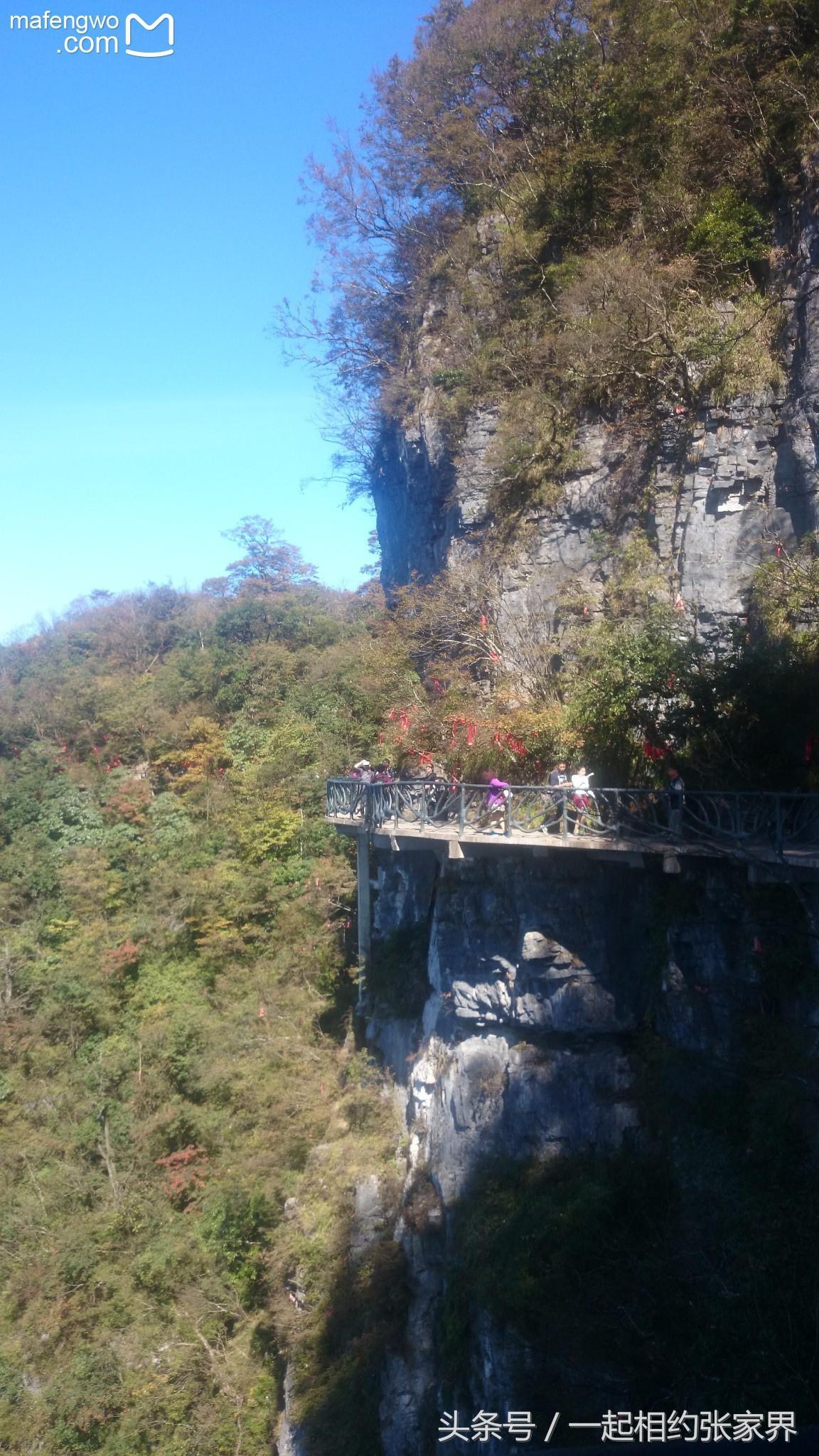 张家界机场到天门山自由行攻略,张家界天门山一日游攻略省钱