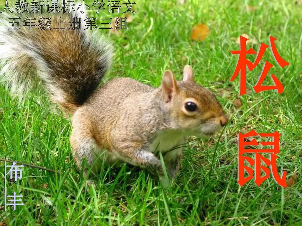 青春的守护者,青春的守护神