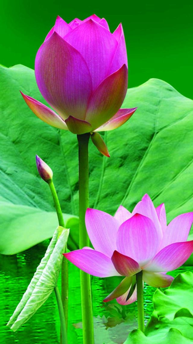 初入社会就想着如何赚钱,30分钟讲解无本钱创业30种方法