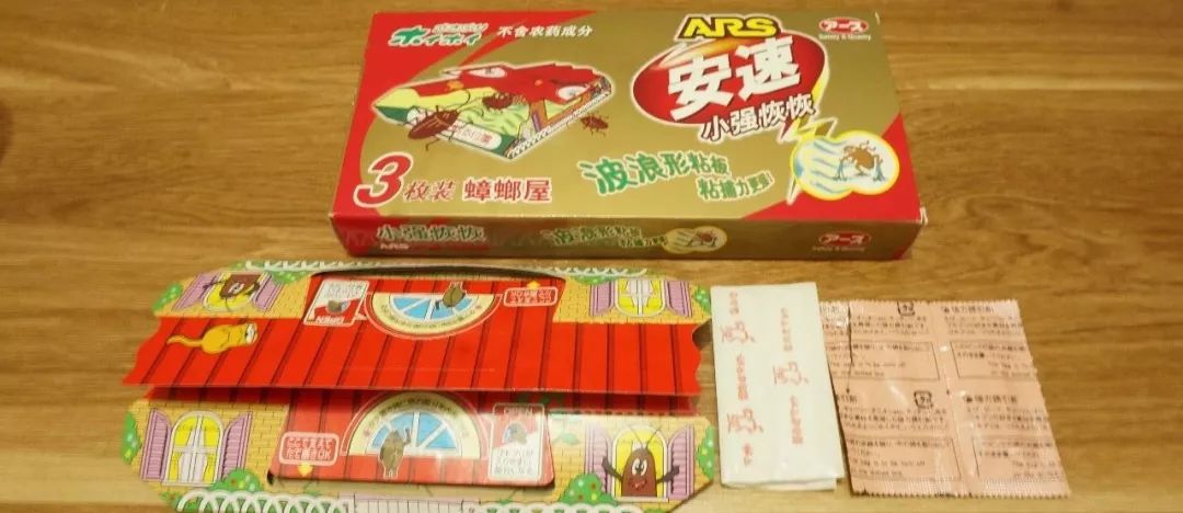 我竟然给蟑螂买了一套房子并请它喝了一罐哈尔滨？