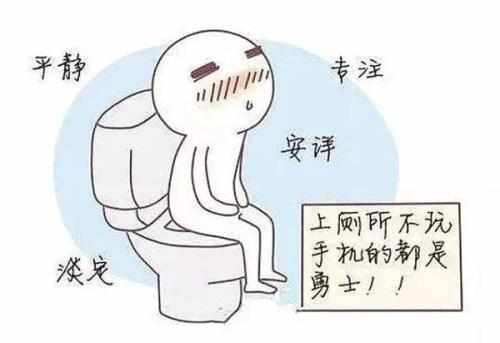 iphone掉进马桶但还能正常充电,iphone掉厕所里还能用吗