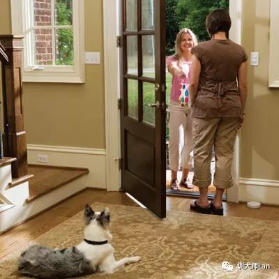 有人敲门狗狗就乱叫,有人敲门一开门狗狗就往外冲