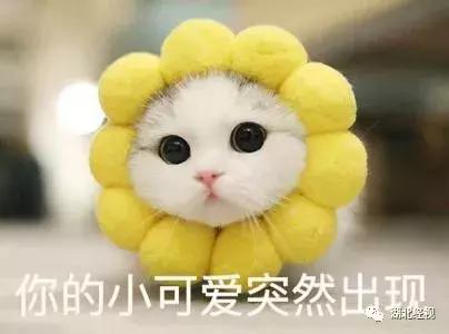 这次武汉下雨要持续多久,武汉一周的雨