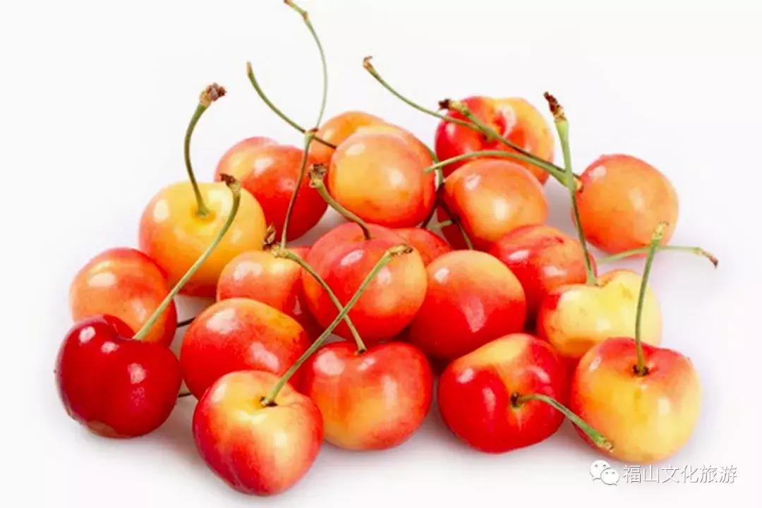2020年烟台大棚樱桃采摘,最美樱桃季烟台露天大樱桃采摘啦