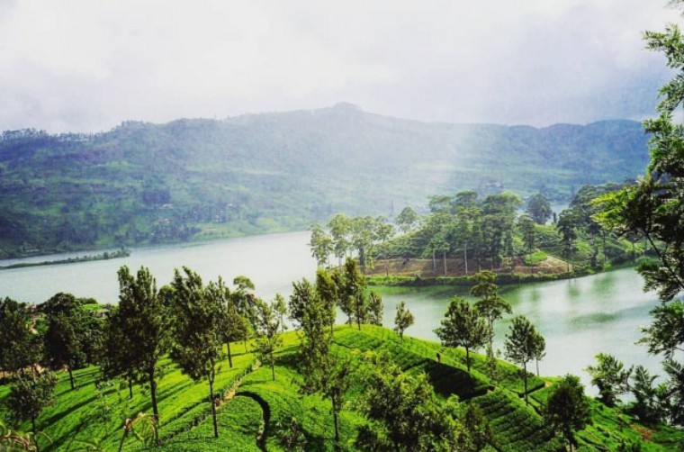 grs祖母绿证书,grs蓝宝石证书