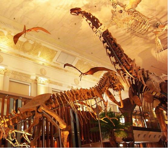 郑州万科购物广场,郑州万科购物中心开业了吗