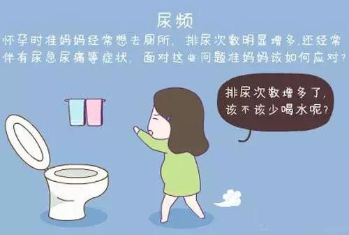 孕妈妈老是上厕所,孕期尿频晚上不能深度入睡怎么办