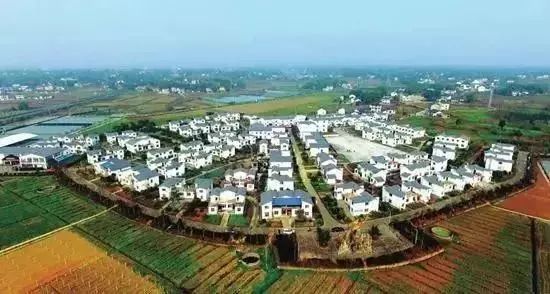 确认过眼神我遇见对的人的表情,确认过眼神我遇上对的人什么梗