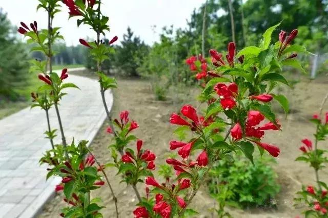 再上六天班是国庆假期吗,再上六天班就要集体放假