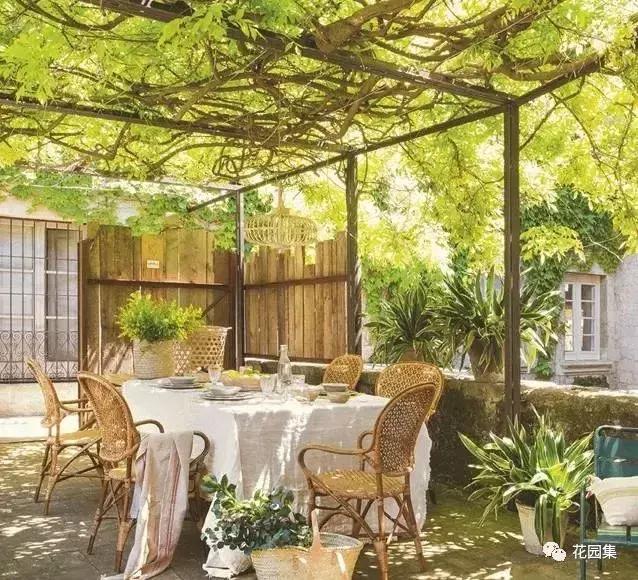 抑郁症疗愈花园,抑郁情绪疗愈法