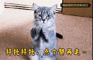 宜家家居入驻五象,宜家逛街拍照两不误