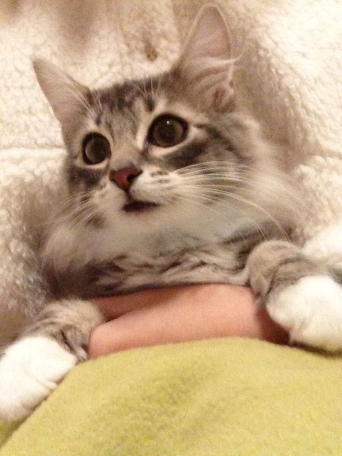 儿童报警求助知识,孩子报警求助教科书