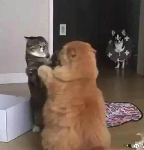 儿童报警求助知识,民警教孩子如何正确报警