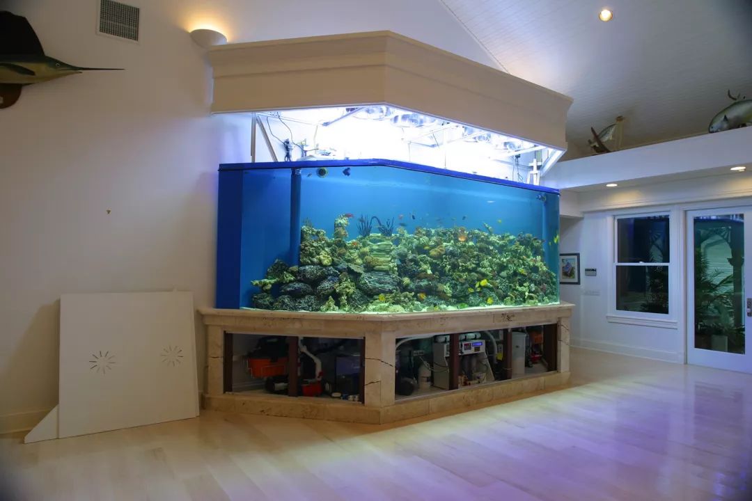 鱼缸一般用几年要换了,正常鱼缸可以用多少年