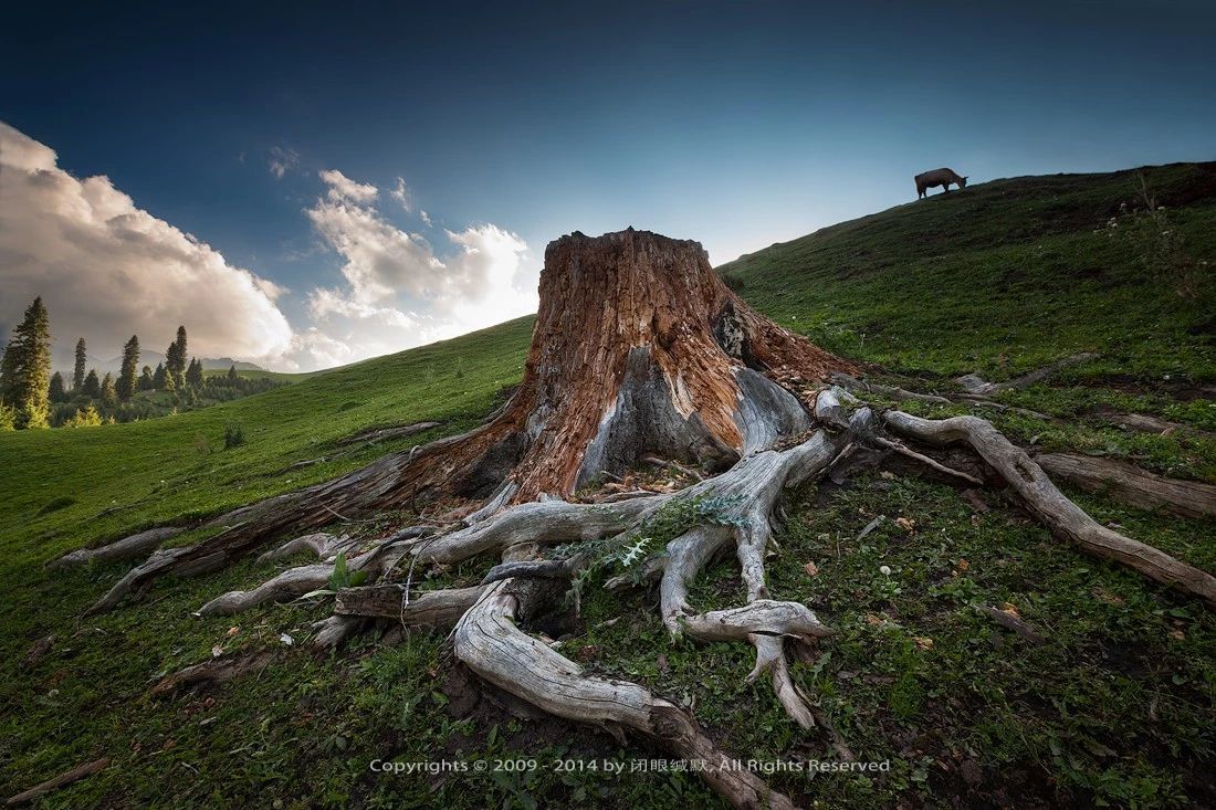 如何拍出油腻感的照片,怎么拍出油腻照片