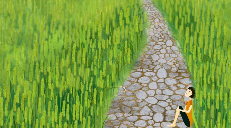 被监管投诉对保险公司有什么影响,监管调研保险公司