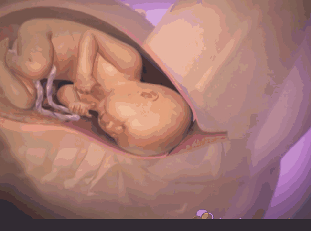 产妇感动到哭的视频,产妇痛哭视频完整版