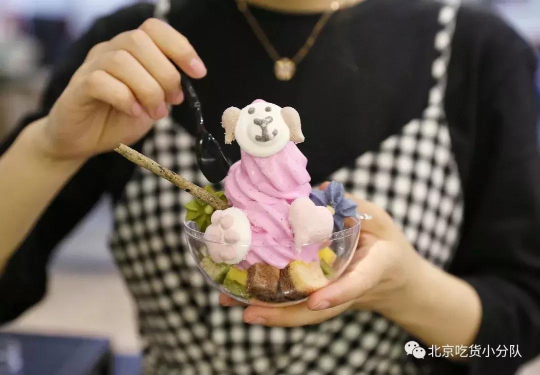 可爱的小奶狗吃冰激凌,小奶狗吃各种各样的冰淇淋