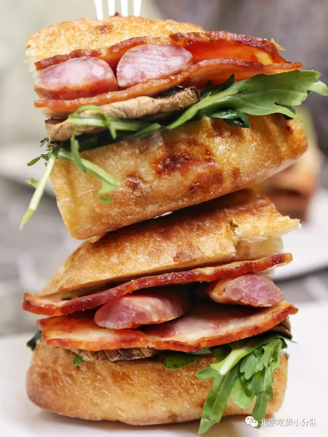 可爱的小奶狗吃冰激凌,小奶狗吃各种各样的冰淇淋