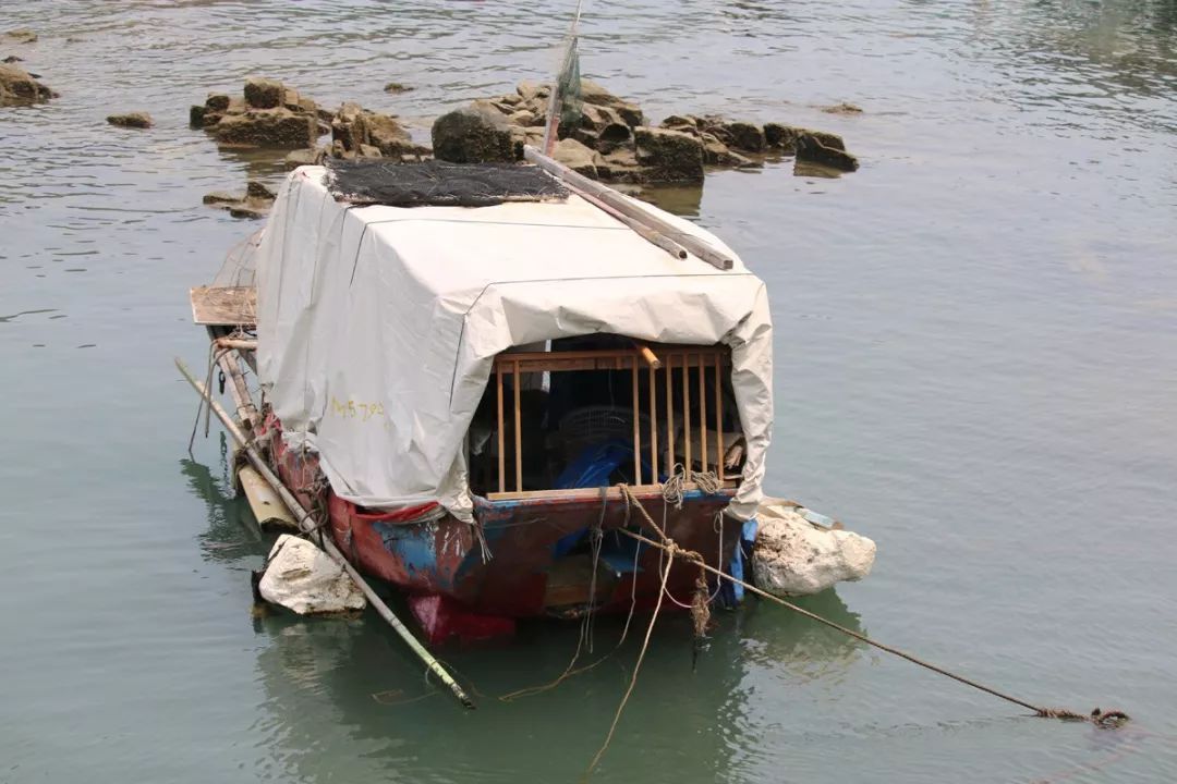 香港仔避风塘的介绍,香港仔避风塘图片