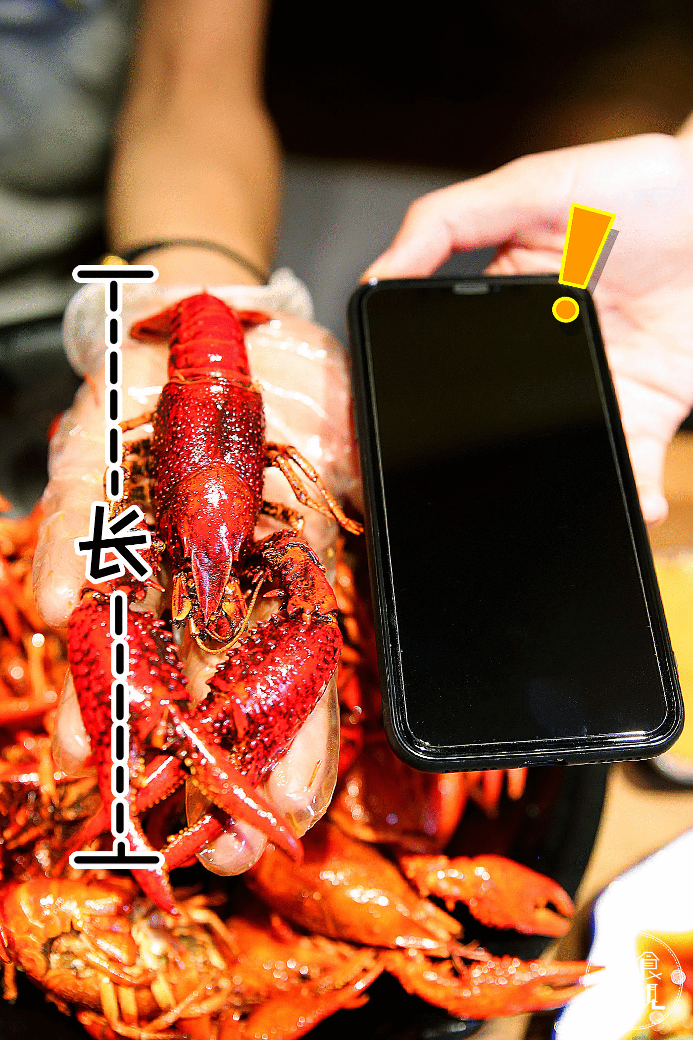 长沙老口子宵夜第一派！里手派的江湖从砂子塘一路打到了人民西！