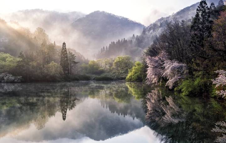 写出关于描写黄河的古诗词,描写黄河的古诗词有哪些