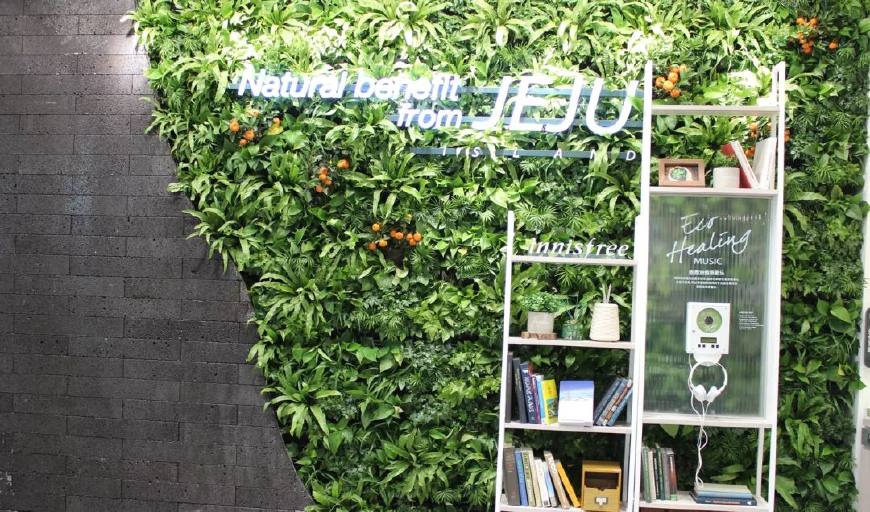 悦诗风吟哪款最值得买,悦诗风吟哪个系列最值得买