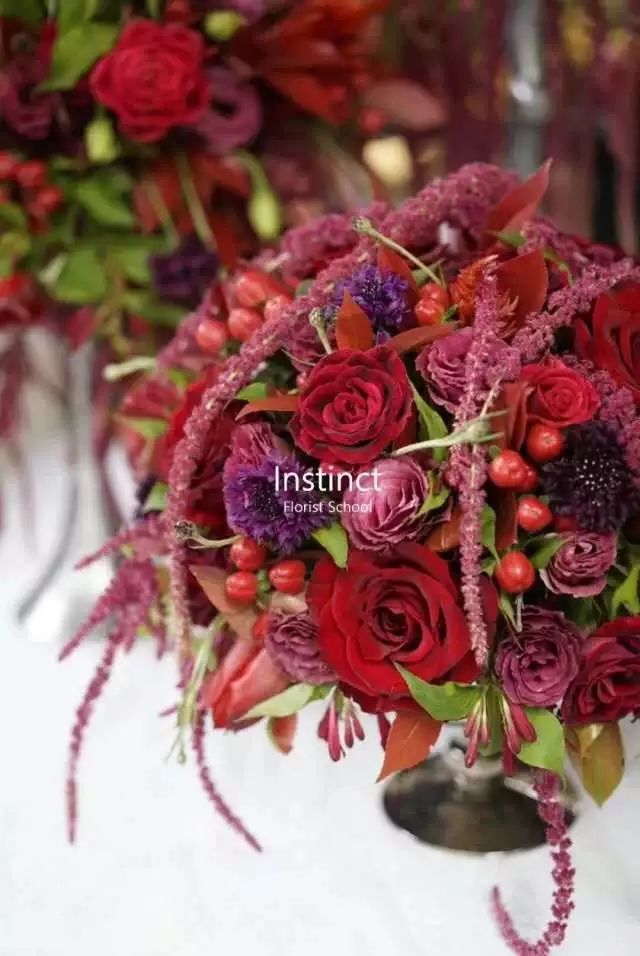 第十六期“眼界论坛”精彩亮相！｜爱花之人，必是情愫满满