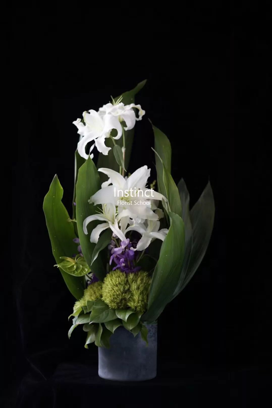 第十六期“眼界论坛”精彩亮相！｜爱花之人，必是情愫满满