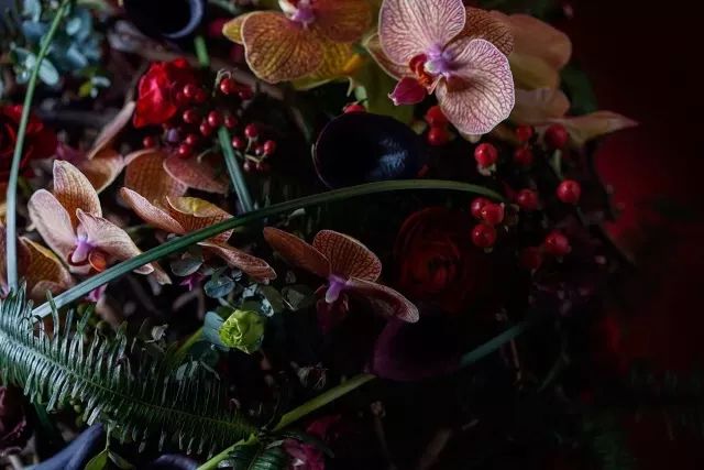 第十六期“眼界论坛”精彩亮相！｜爱花之人，必是情愫满满