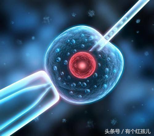 试管婴儿手术所需条件和准备