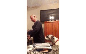 爸妈被忽悠去领养一只小狗，回来后邻居表示：这马真漂亮啊！