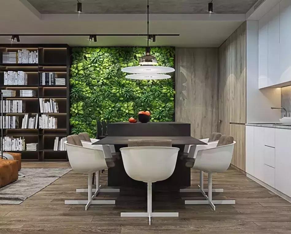 墙上种什么植物最好,景观墙上盆栽什么好看