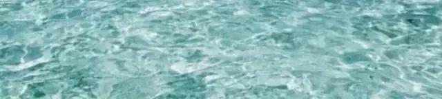 知乎上点赞最高的十条神回复,来自知乎的32个神回复笑死我了