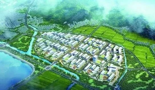 浙江日报刊文点赞舟山,浙江日报点赞黄岩