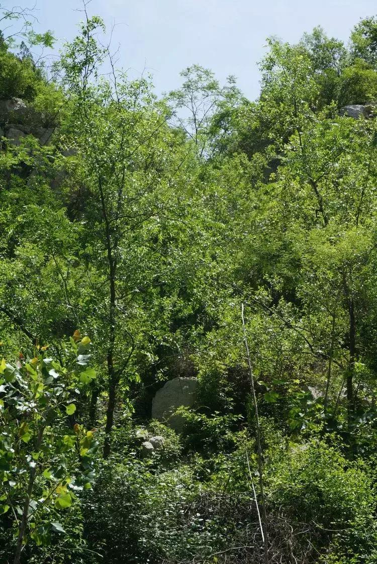 淄博淄川天晴湾户外唱歌,淄川龙泉天晴湾风景区