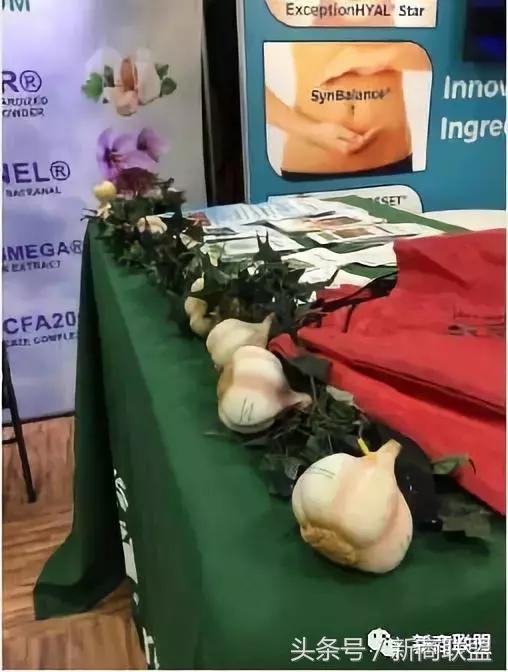 条条大道通罗马：中国民营企业55种融资方式