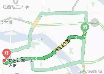 偶像来了刘嘉玲孙杨张继科,好朋友叫傅园慧去约宁泽涛完整版