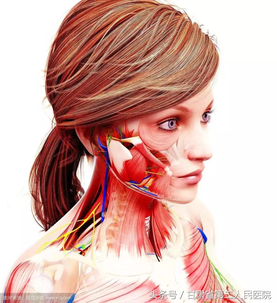 关于瘦脸针的知识解析,关于瘦脸的那些事