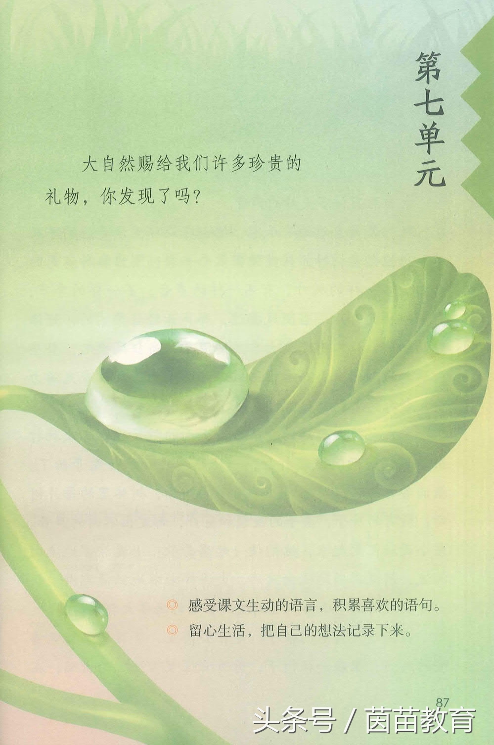 部编新人教版三年级下册语文书,部编版新人教版三年级语文