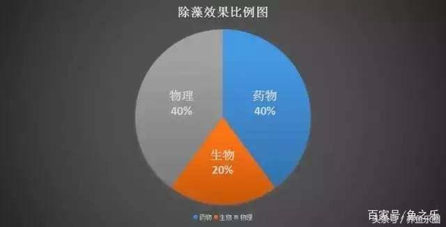 鱼缸丝藻用什么除藻液好用,鱼缸除藻剂用几天就除掉藻类