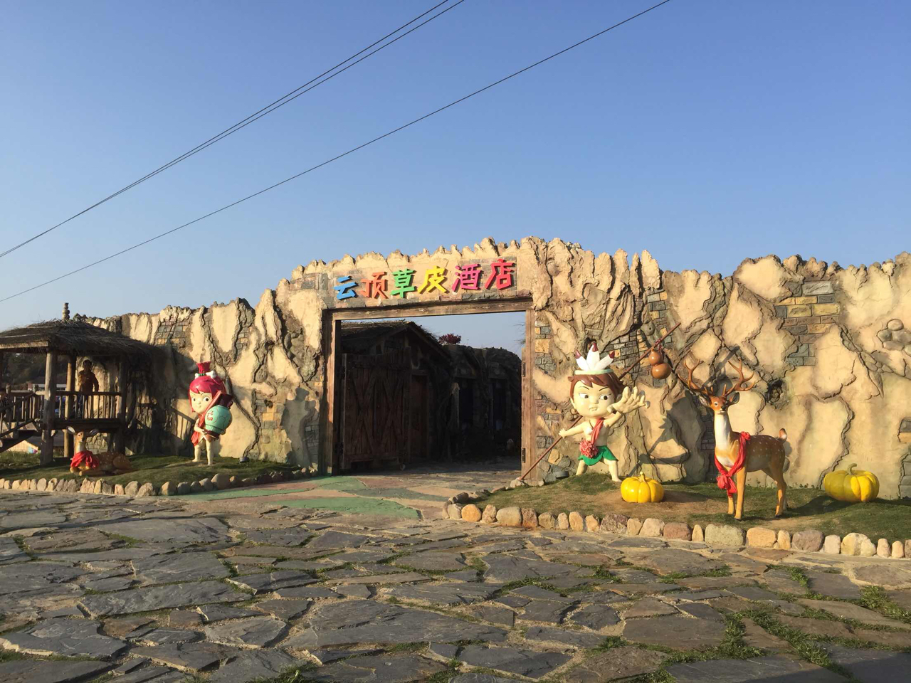 福建儿时的记忆山上的野果,福建山上秋天野果