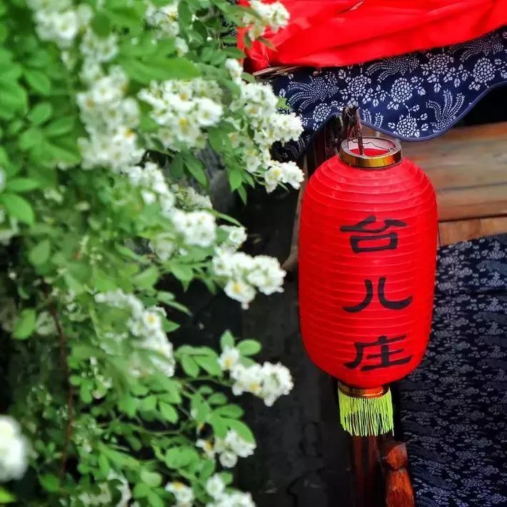 青岛台儿庄古城免费吗,五一台儿庄古城免票吗