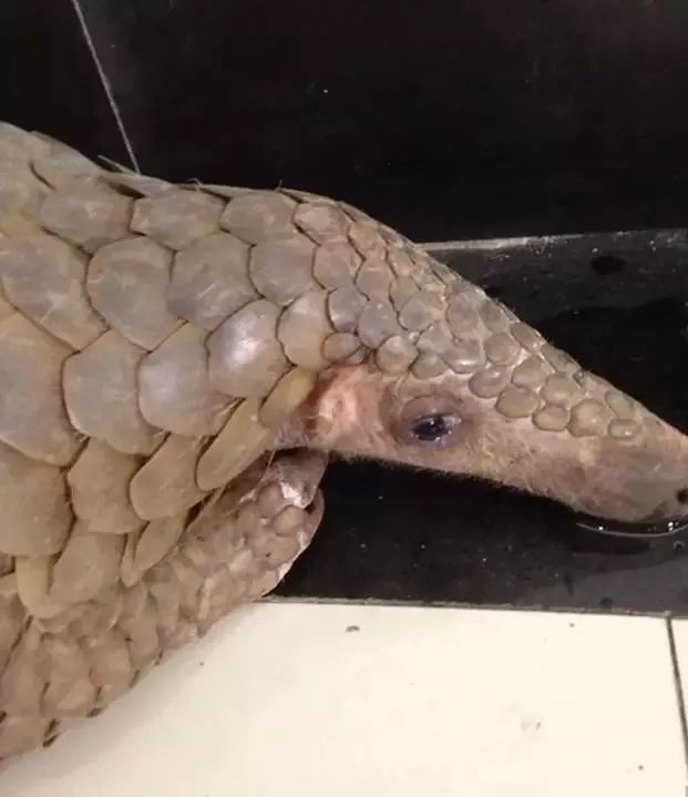 朋友圈代购低价套路,朋友圈里卖低价服装的真相