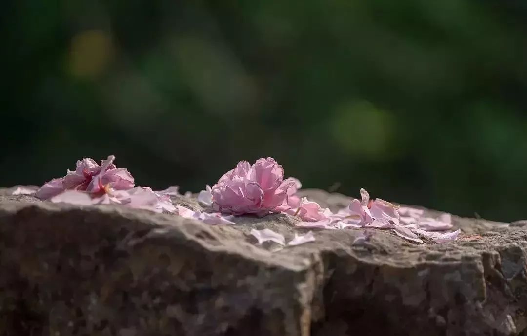 必背超长十大经典古文,公认最难背的十篇古文你认同吗