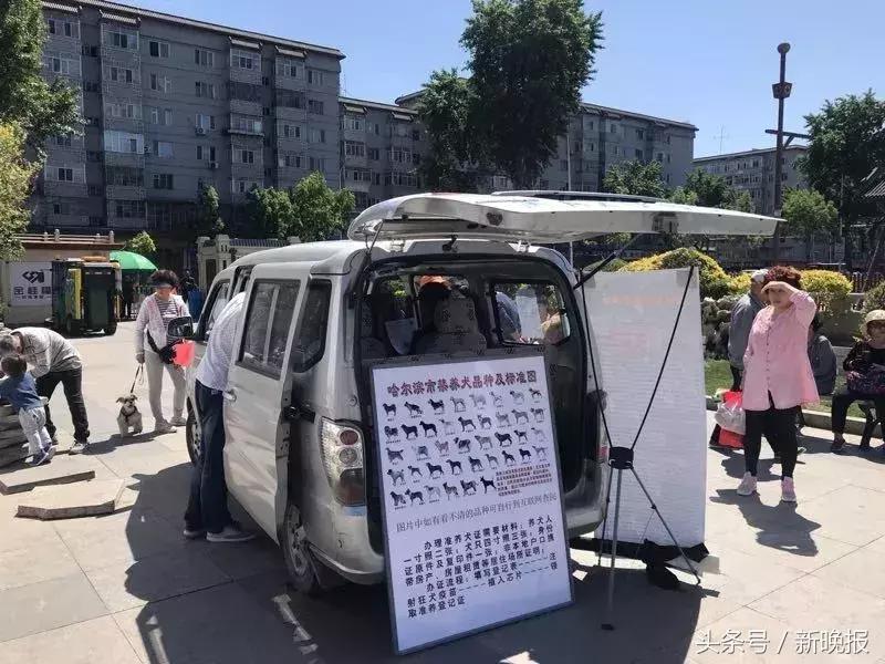 养犬必须办理狗证吗,所有地方养狗都必须办狗证吗