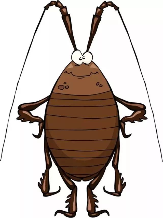 四害消杀温馨提醒,除四害科普小知识