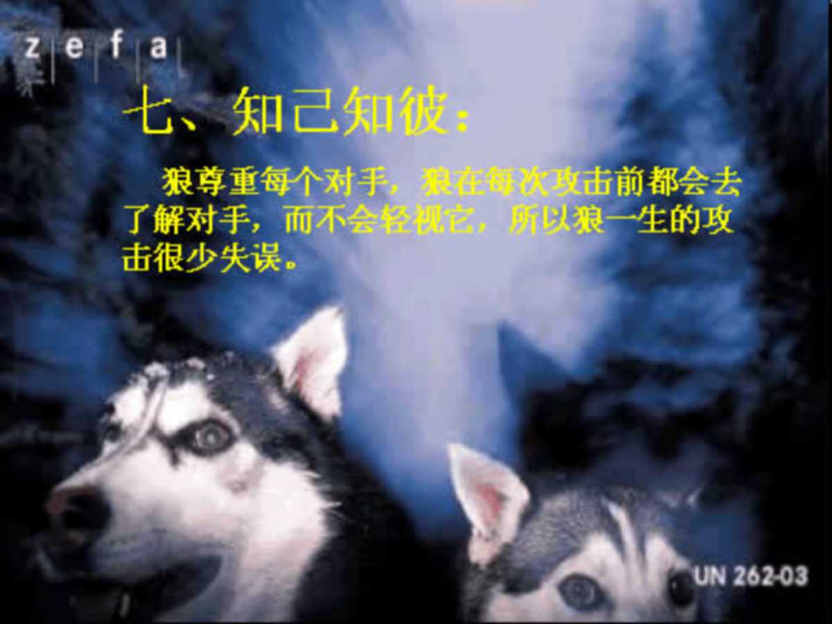 企业团队凝聚力培训ppt,企业团队精神培训ppt