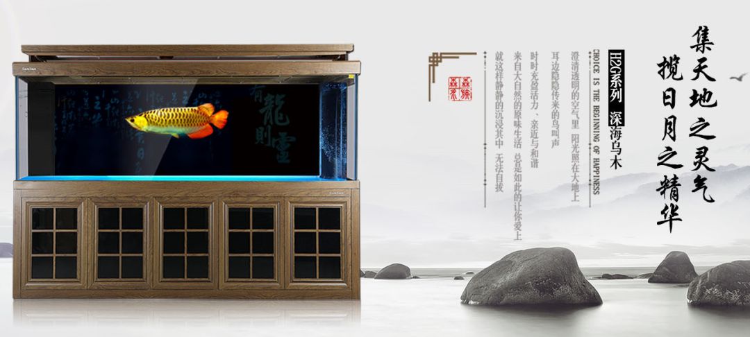 森森水族效益咋样,森森水族盈利情况