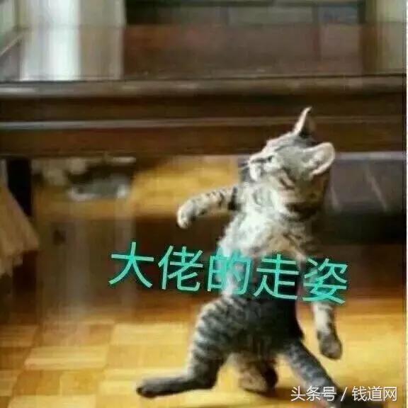 世界上最遥远的距离是我在你旁边,世界上最遥远的距离不是金钱